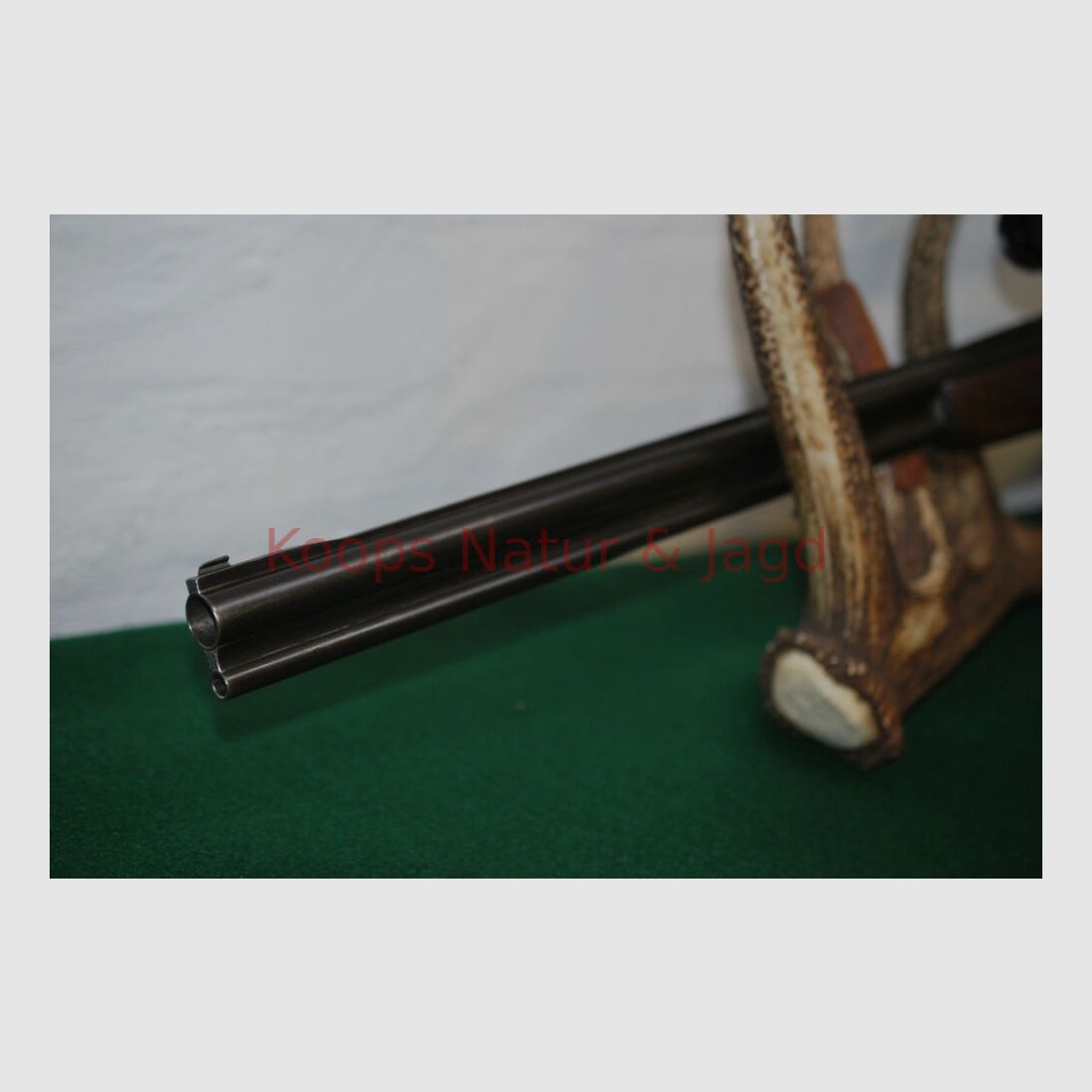 Sauer & Sohn 54