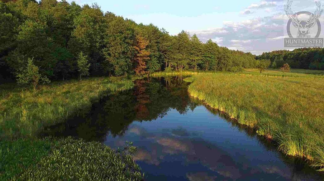 Roe Buck Hunting in Poland , Bukkejagt i Polen , Bockjagd in Polen , Hunting in Poland