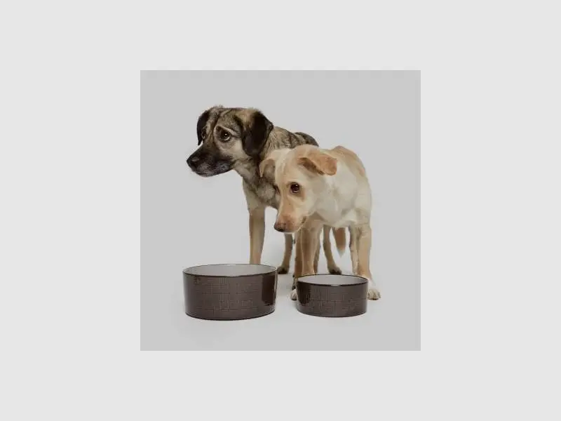 Hundematte Anti-Zecken / Parasiten, Bild 3 von 7