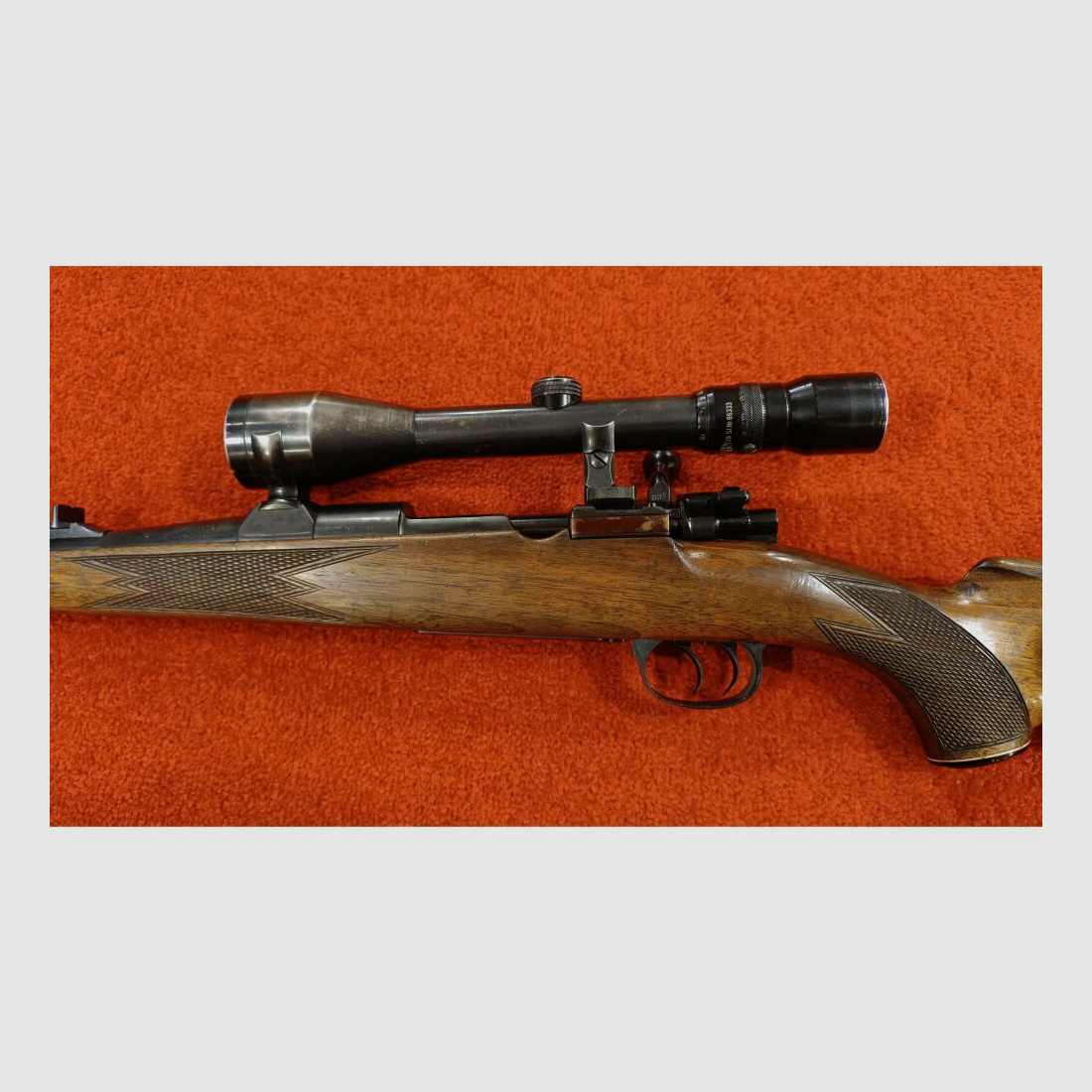 Forest Favorite without 7x64