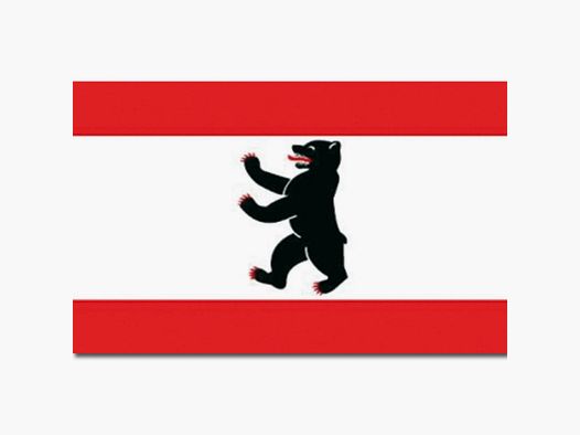 Diverse Flagge Berlin