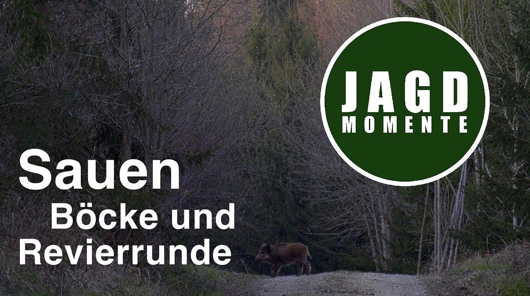 JagdMomente | Folge 17 | Sauen, Böcke und Revierrunde