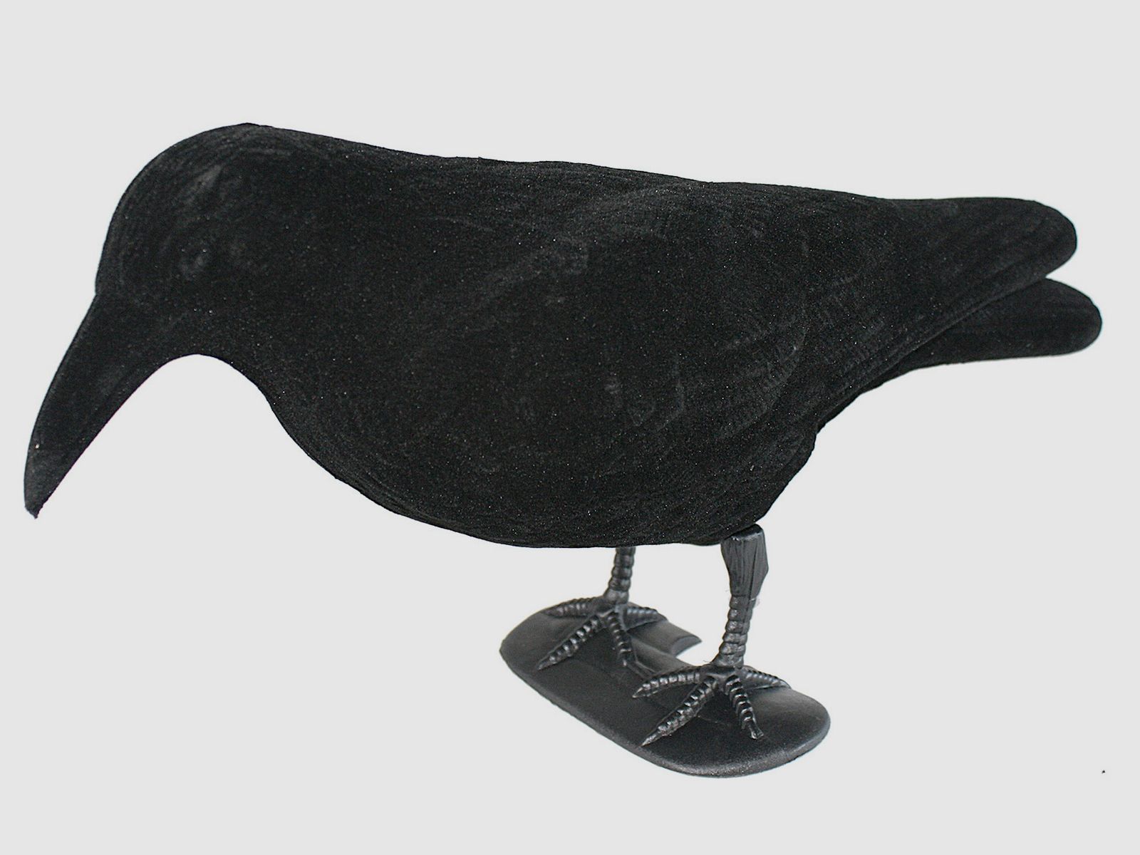 Beflockter Lockvogel Krähe
