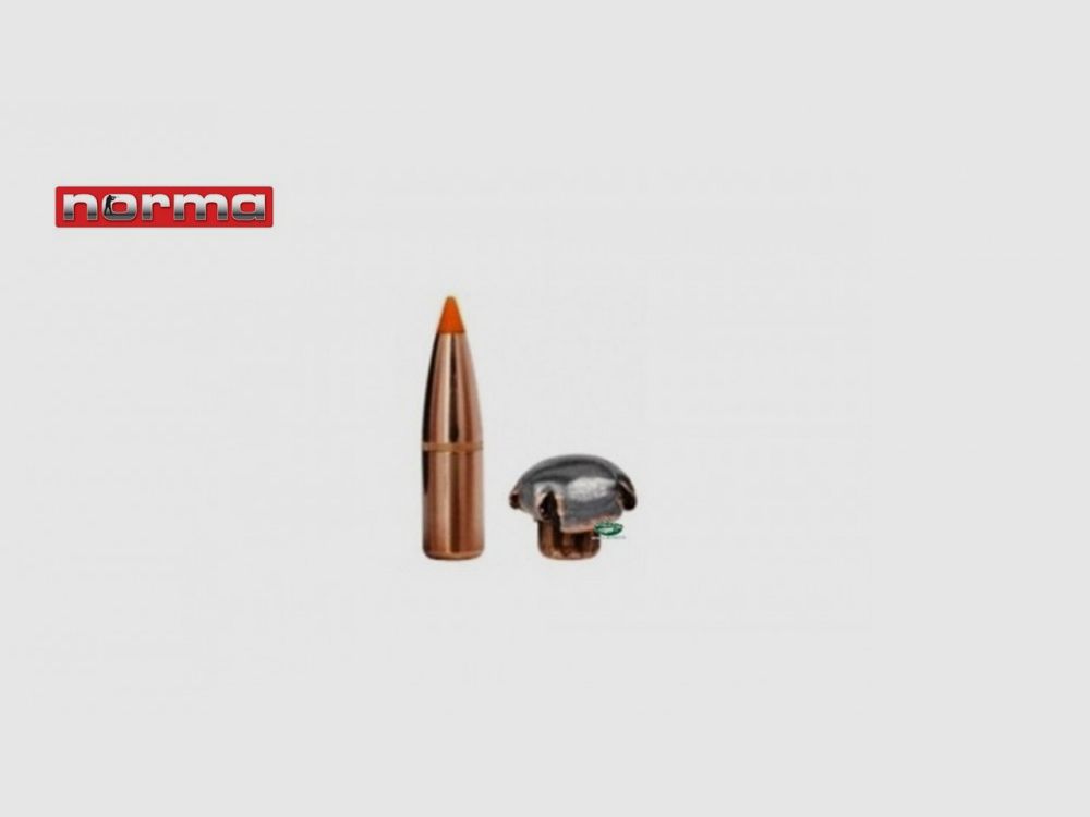 NORMA Geschosse TIPSTRIKE Kal.270 - 140gr. Packung 100 Stk -20669241