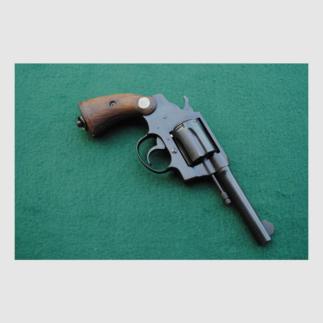 Colt Police Positive Special, Royal Hong Kong Police