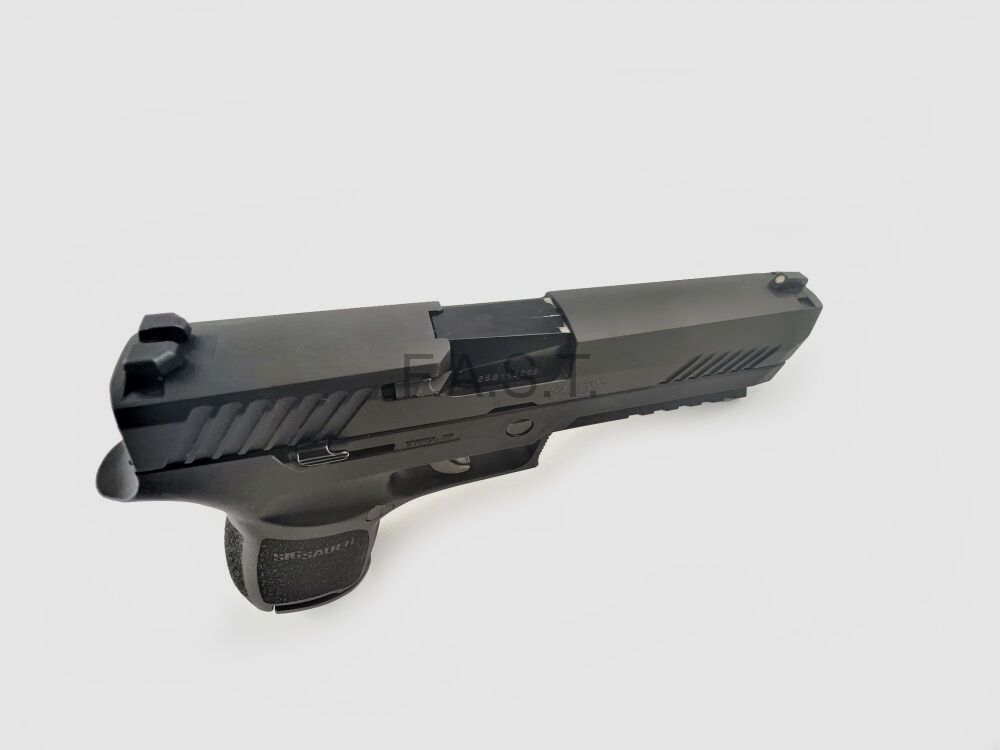 Sig Sauer P320, immagine 4 di 6
