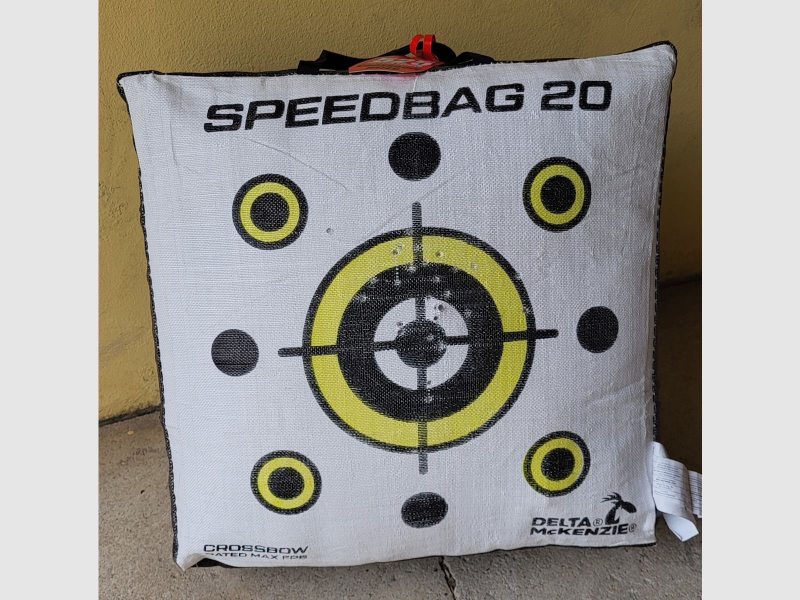 Steambow AR-6 Stinger