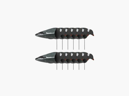 Forme manche à air pigeon ramier Sillosocks x12