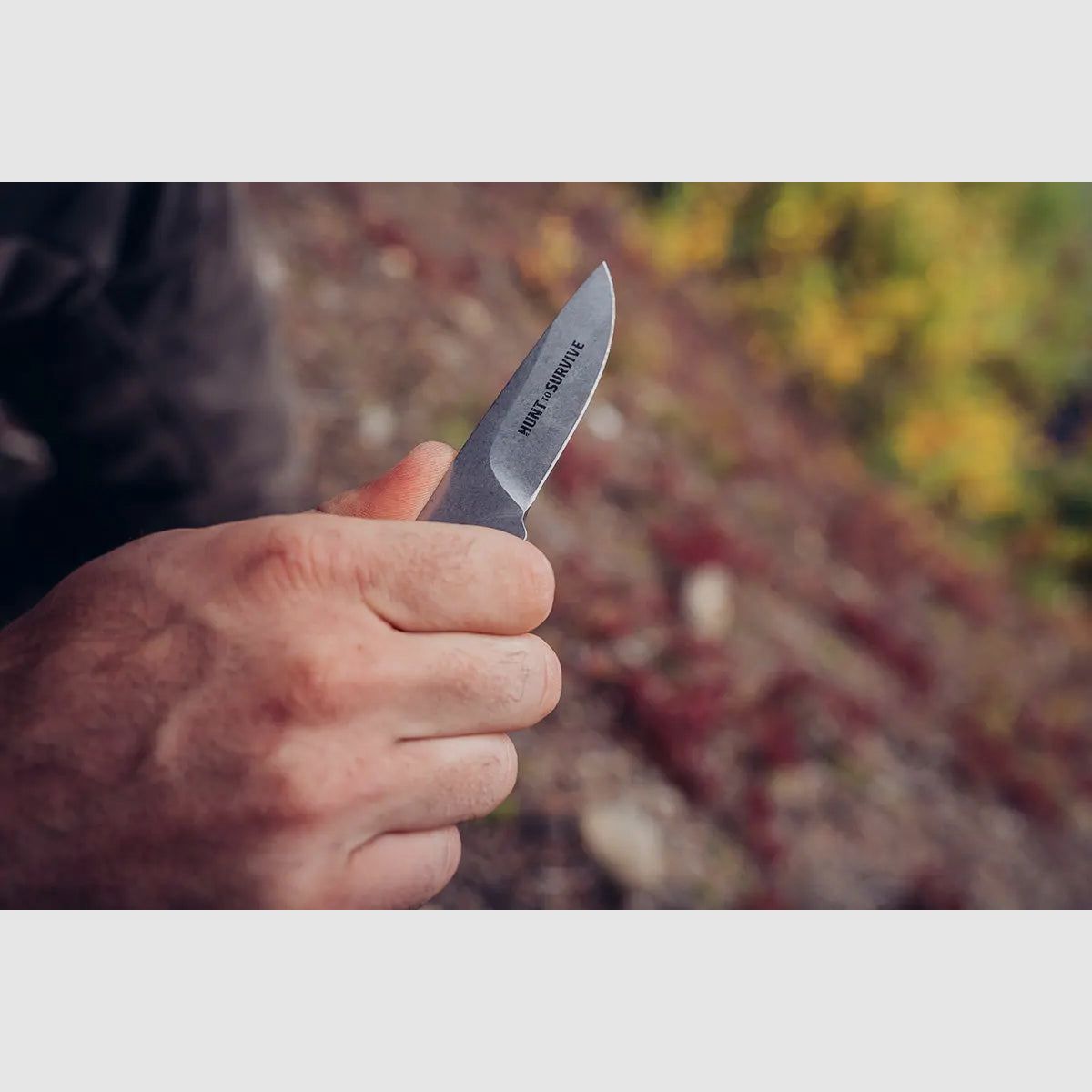 PUMA frischling "HUNT to SURVIVE" Edition, Böhler N695