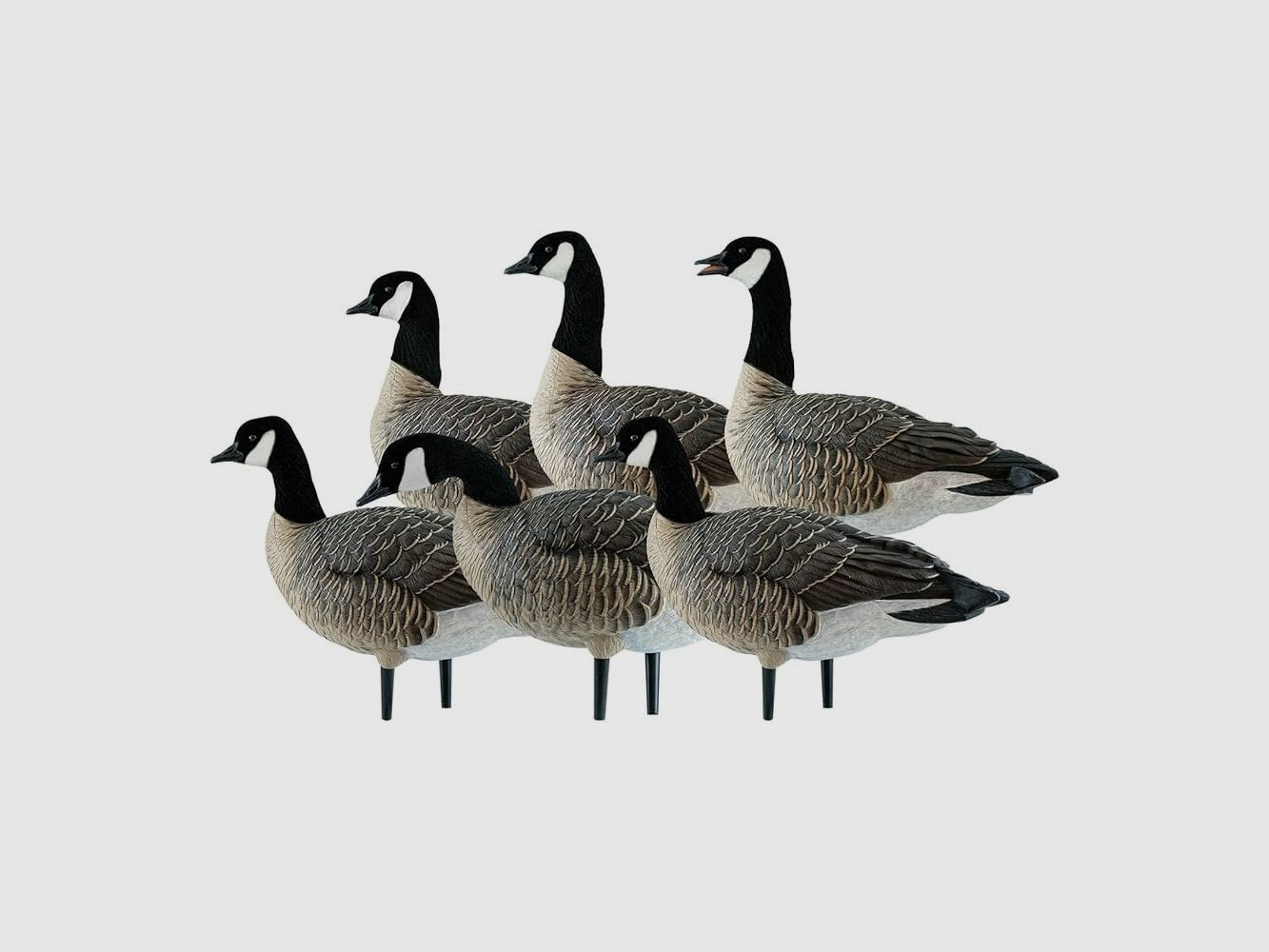 6 Formen von Bernache AvianX Full Body Active, Bild 1 von 2
