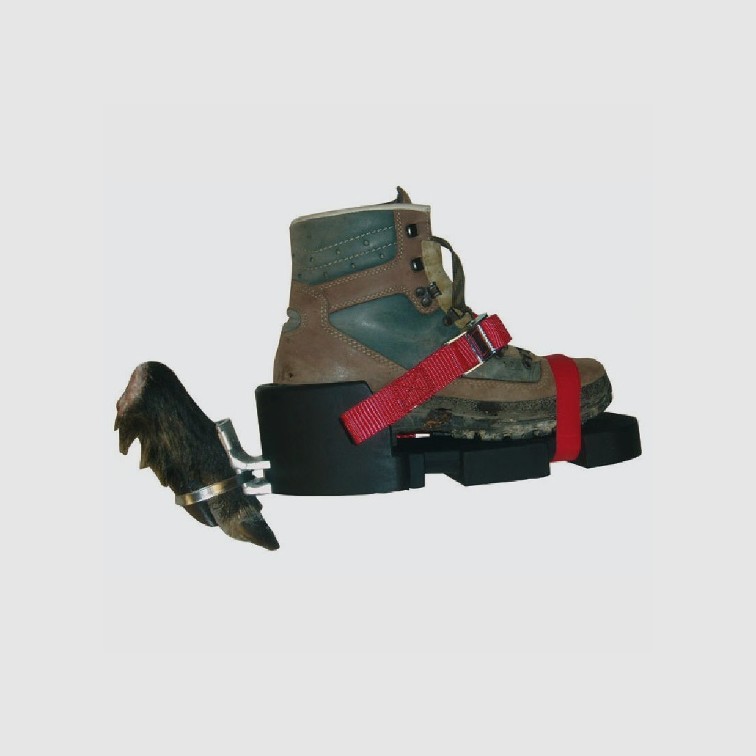 WAIDWERK Fährtenschuh Classic