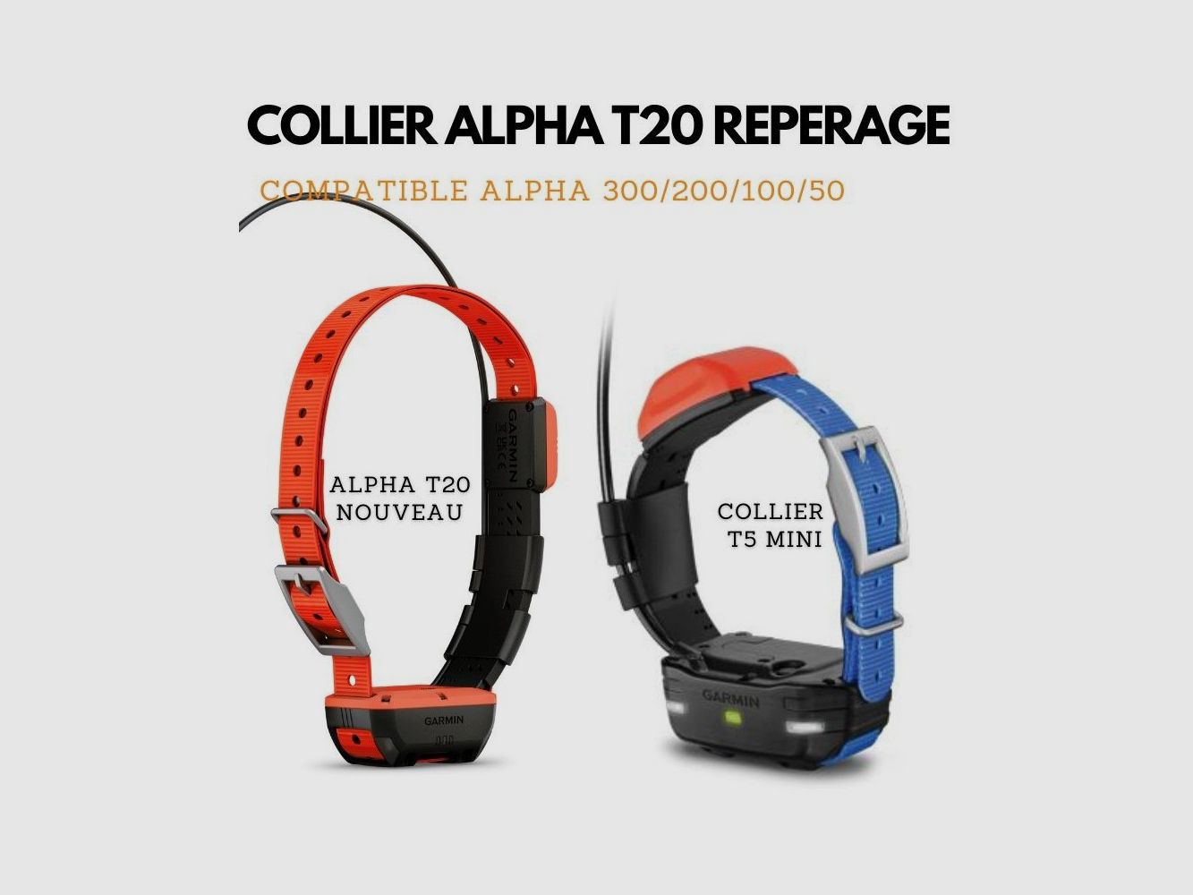 PACK ESENCIAL JMARTEMIS – GARMIN ALPHA 200 PLUS + T20, imagen 5 de 9