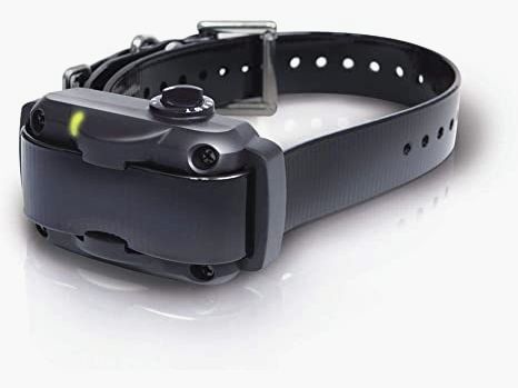 Collier pour chien Dogtra YS600