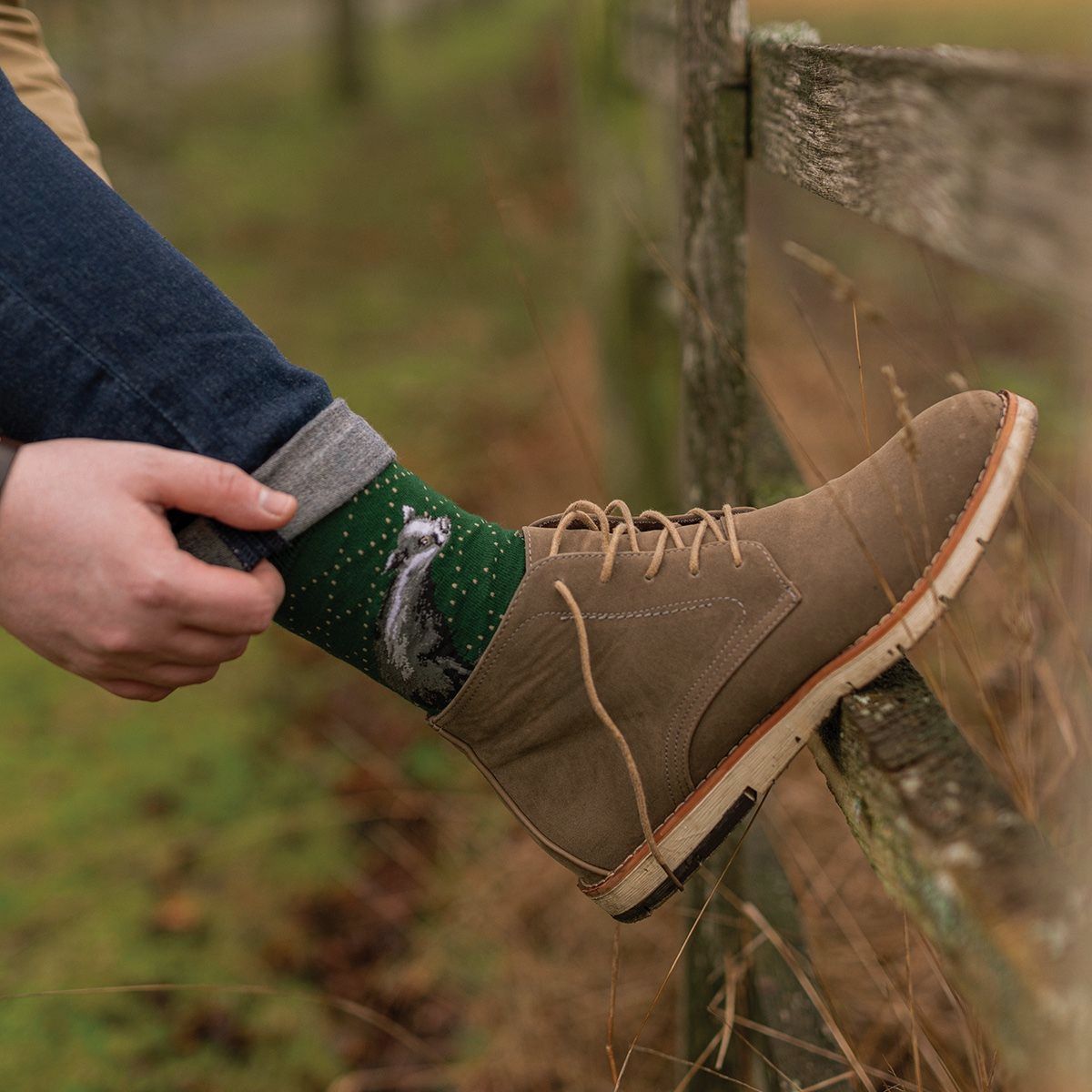 Chaussettes pour hommes Wrendale "A Country Gent" avec blaireau