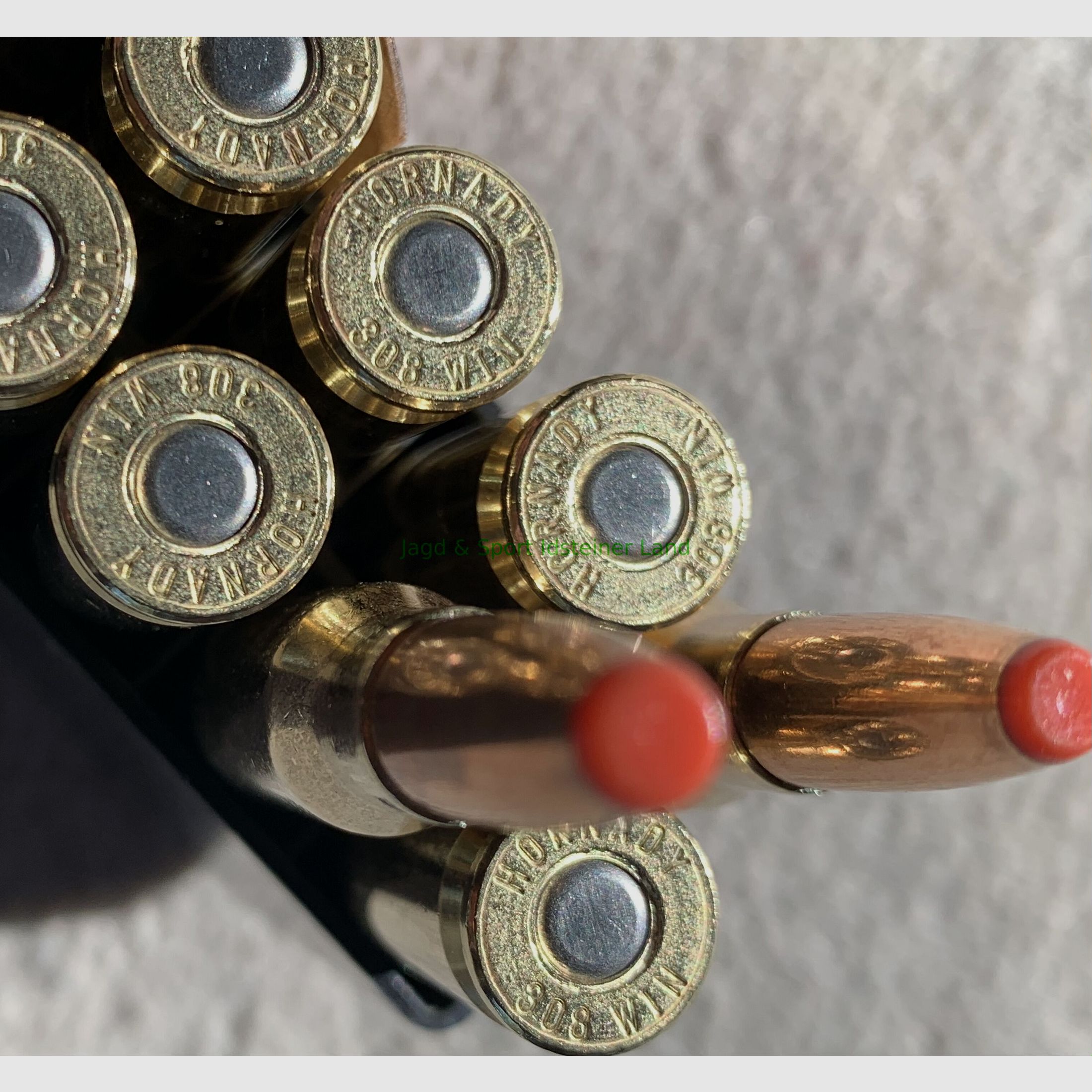 Hornady ECX - senza piombo - 165grs