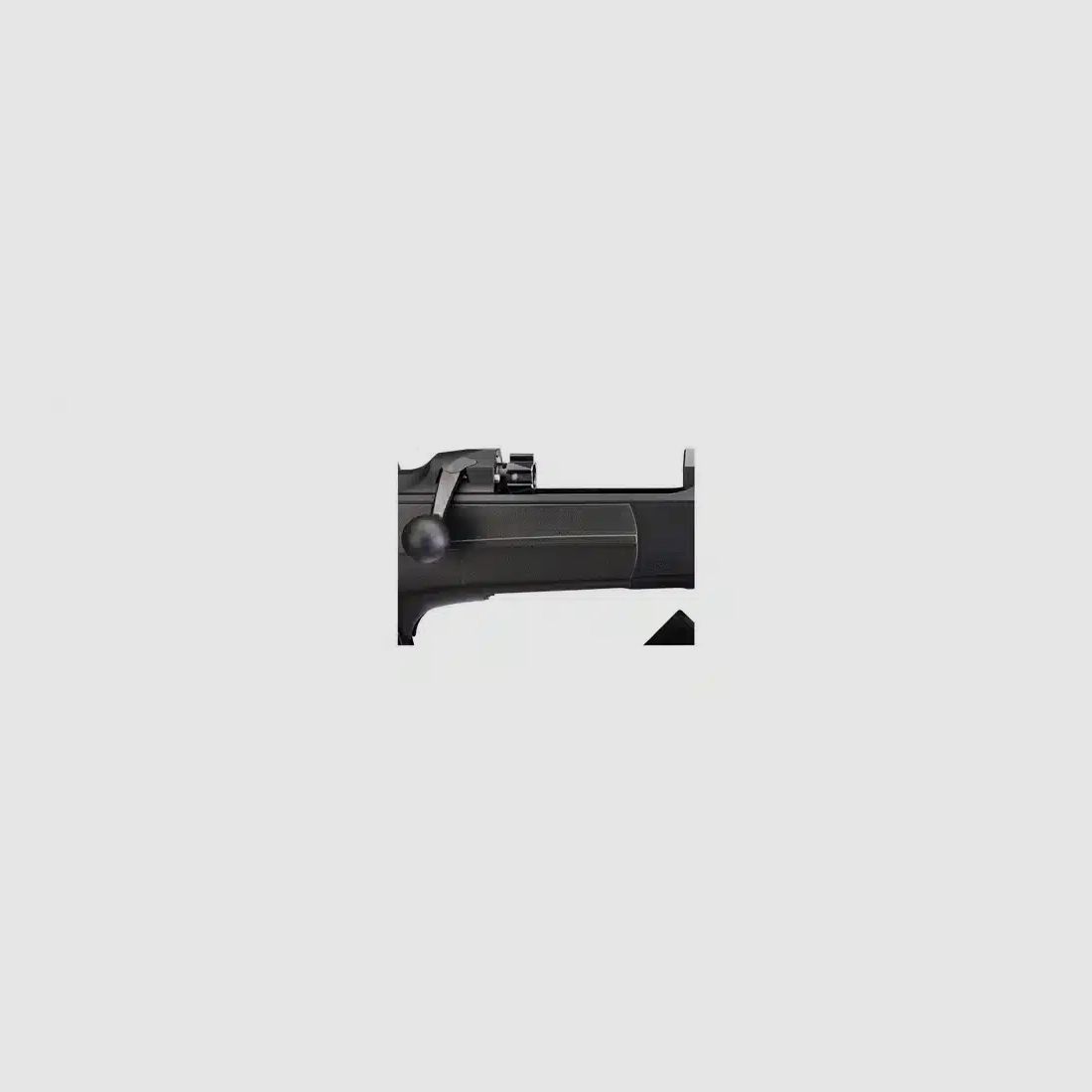 Dentler DR21 with basic rail Vario