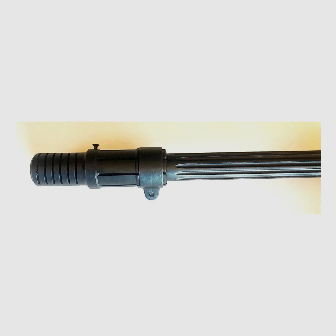 Blaser R93 Tactical (CISM)