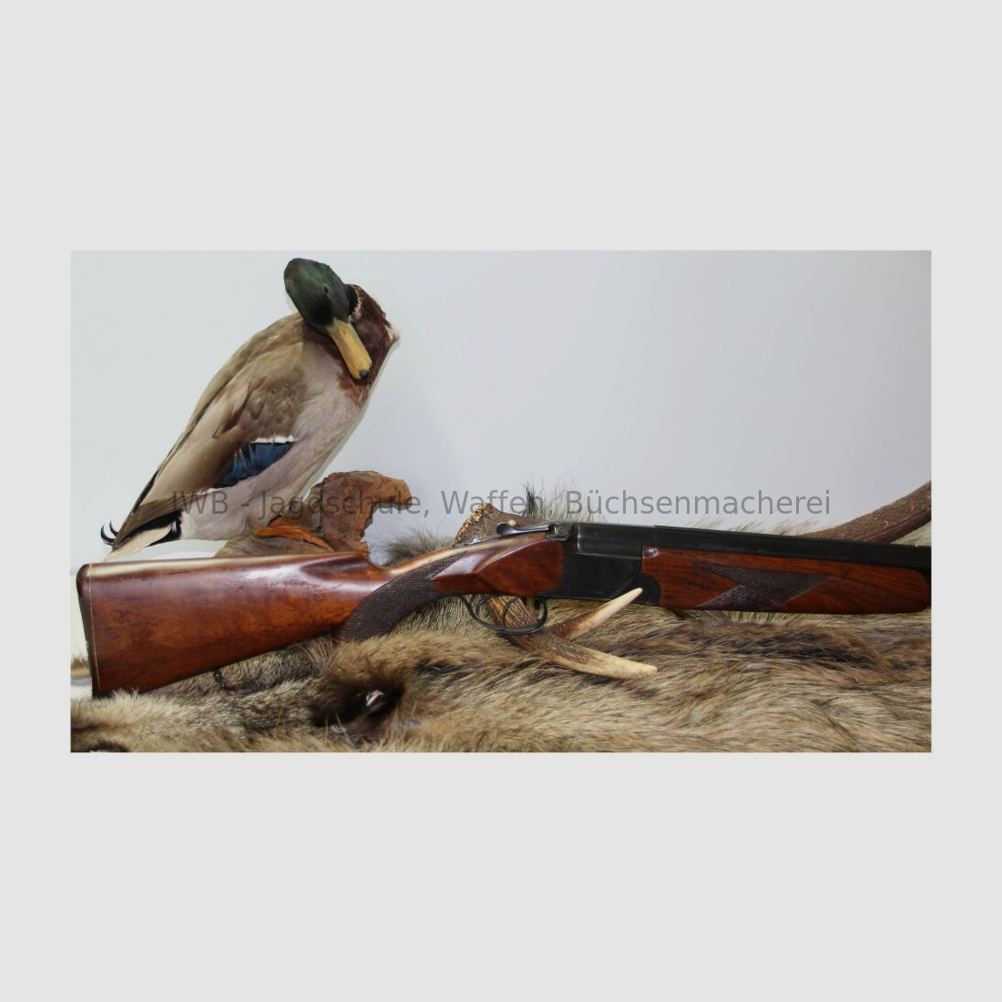 Baikal Bockflinte 12/70