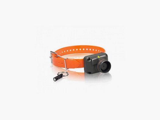 Beeper Dogtra STB-HAWK