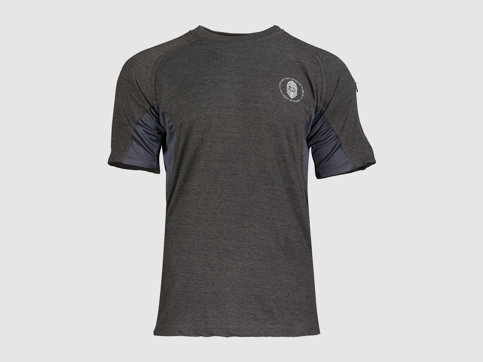 Ragnar Raids Ragnar Raids T-Shirt Aesir Rune grau