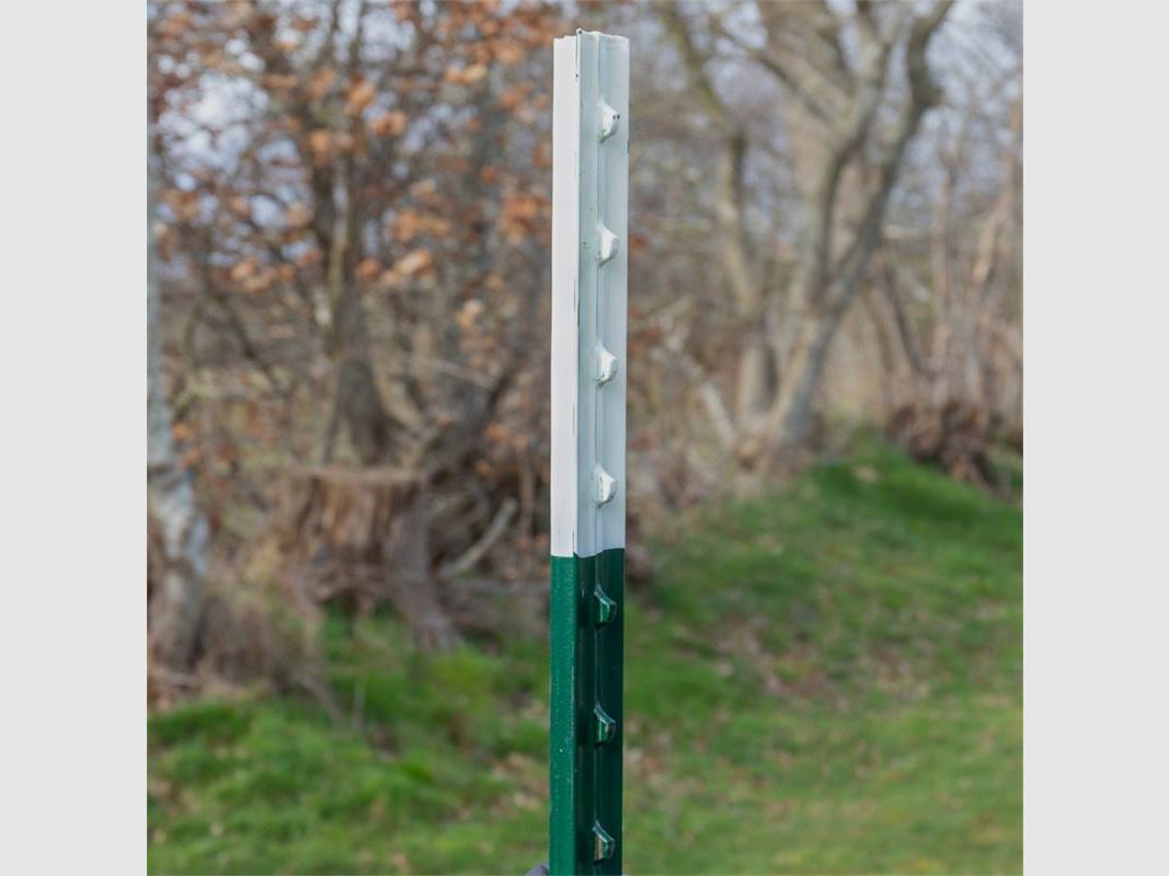VOSS. Poteau en T, piquet en T, 213 cm, piquet de clôture de pâturage en métal vert, lot de 10, image 5 sur 6