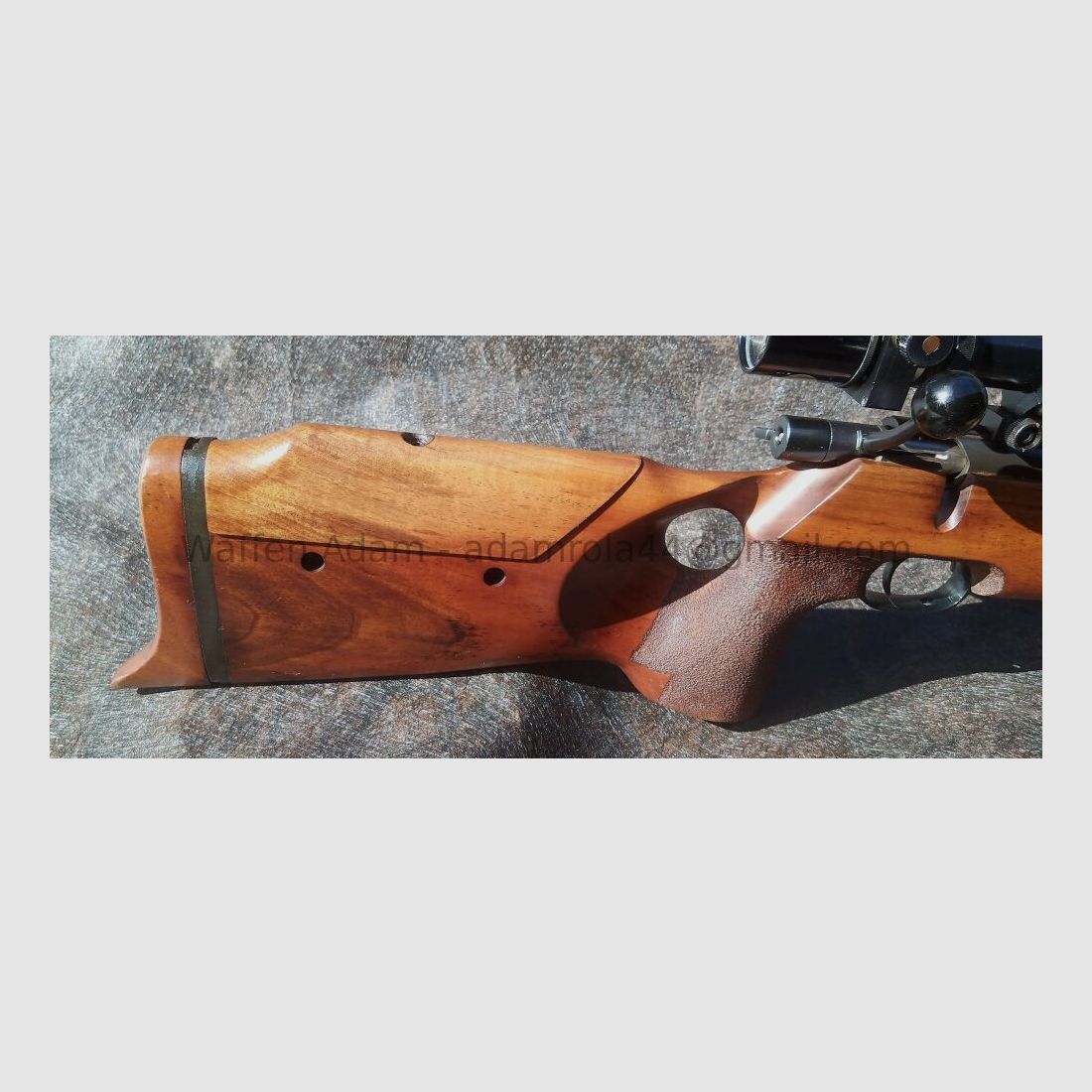 Arma de competición del aniversario de Carl Walther Ulm 100 años de Walther