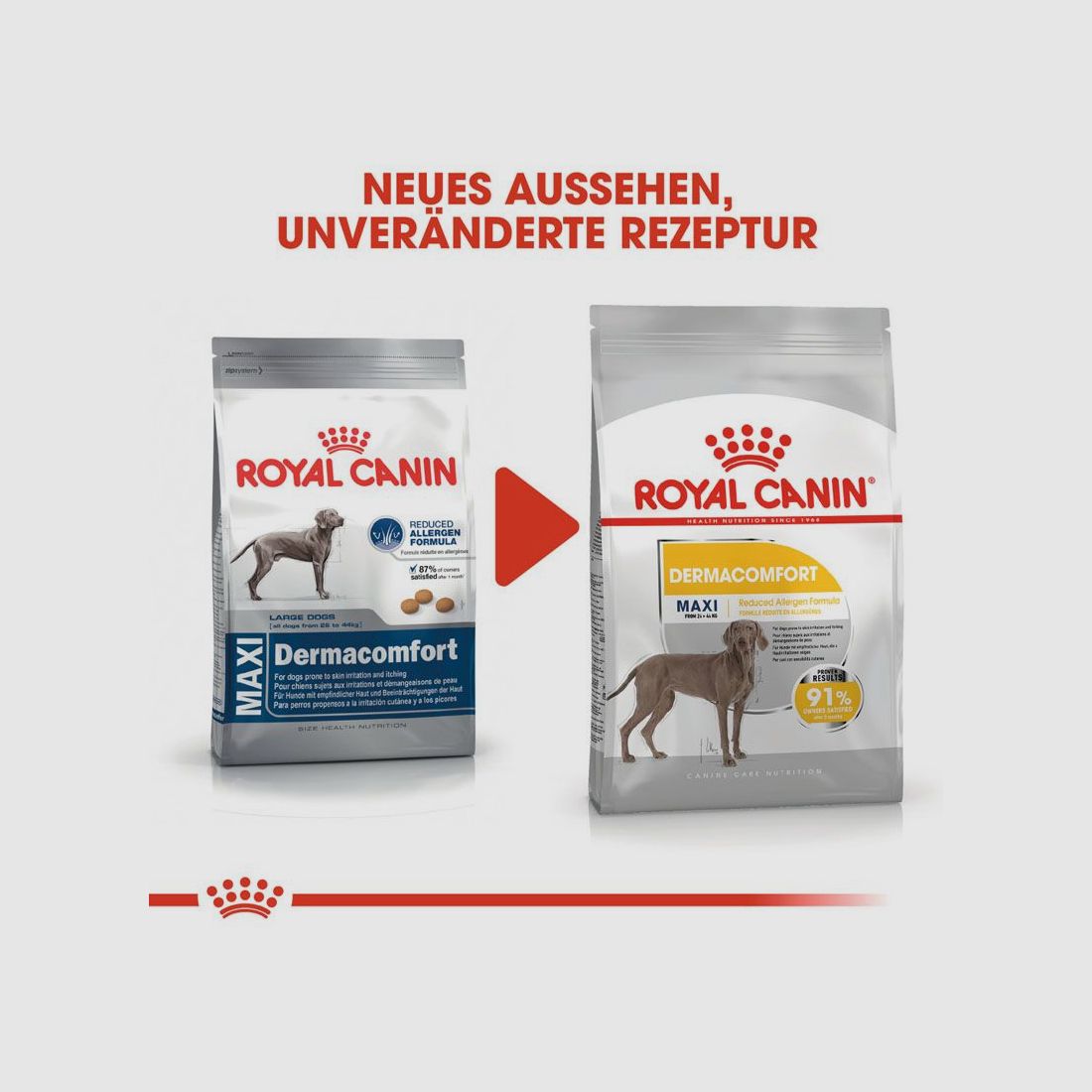 ROYAL CANIN Große Hunde Trockenfutter Dermacomfort Maxi für empfindliche Haut