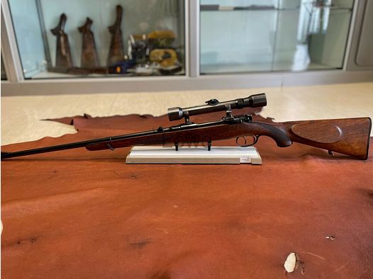 Steyr Mannlicher Schönauer GK