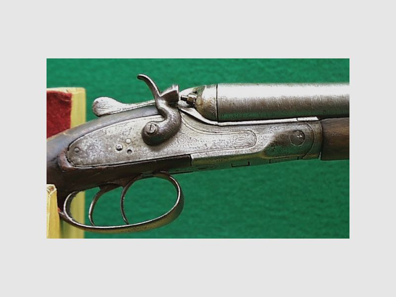 Double shotgun / hammer double shotgun