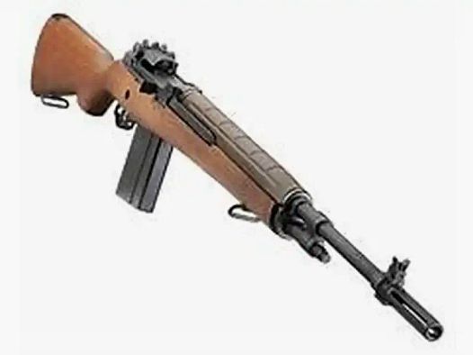 SPRINGFIELD ARMORY - Loaded SL M1A Standard con ZF e montaggio ZF calibro .308 Winchester noce