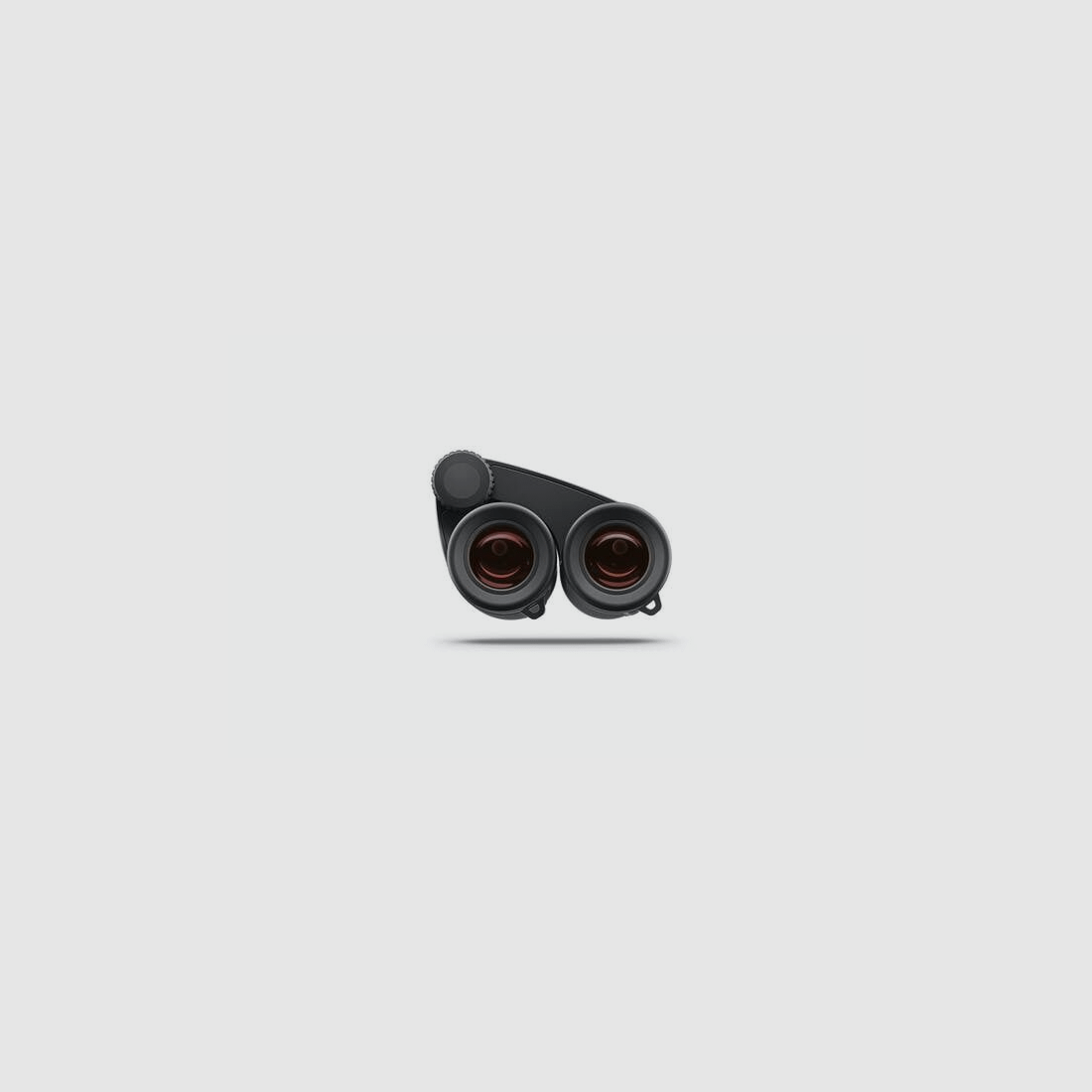 ZEISS Victory Pocket