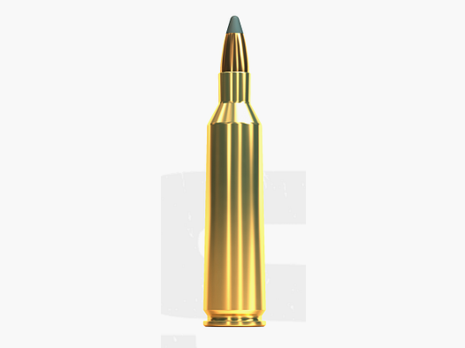 22-250 S&B SP 3,6g