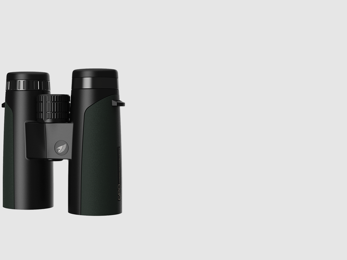 PASSION™ ED 8x42 - Green