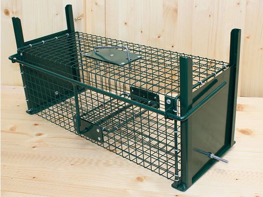 Small game box trap