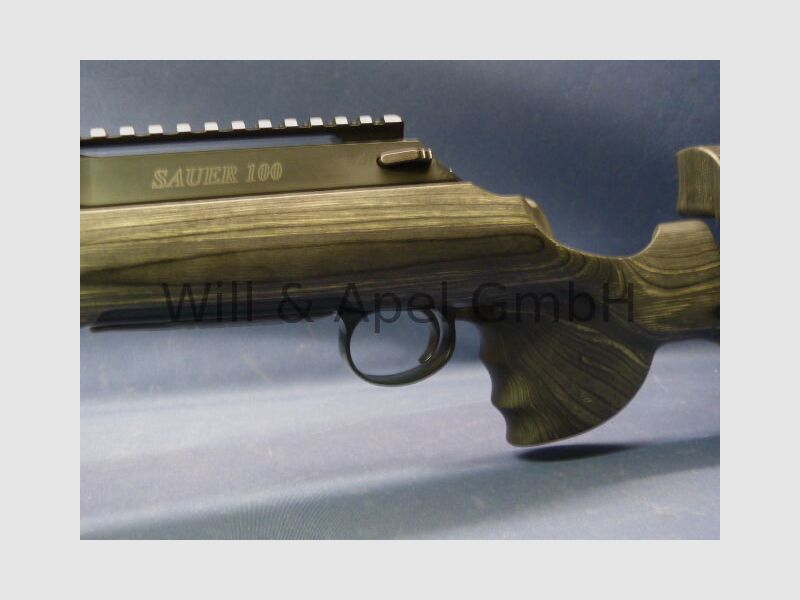 Sauer & Sohn Sauer 100