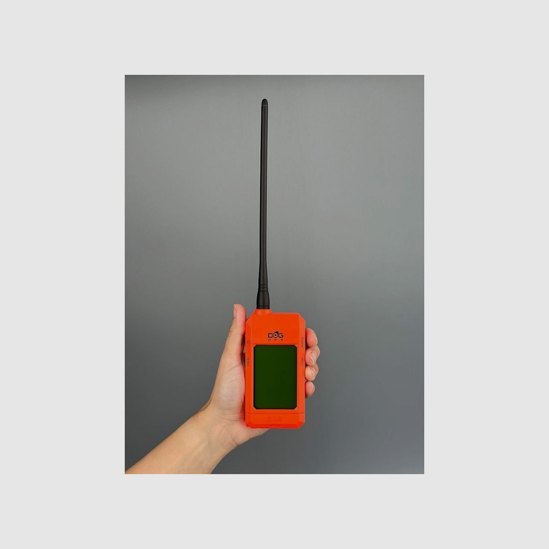 Dogtrace GPS X25-B, Bild 15 von 36
