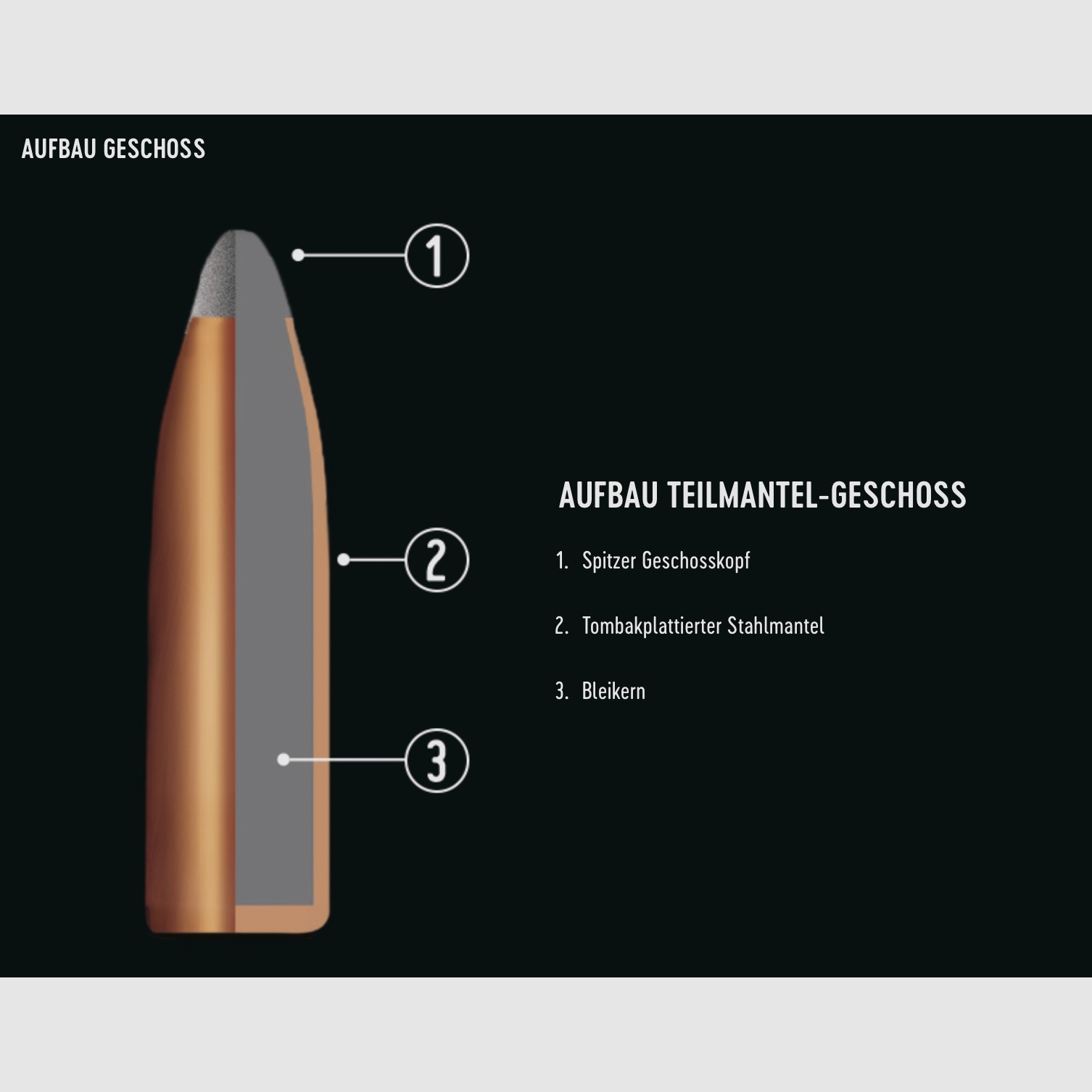 RWS 2116472 .223 Rem. Partial jacket pointed 3.6g 55grs.