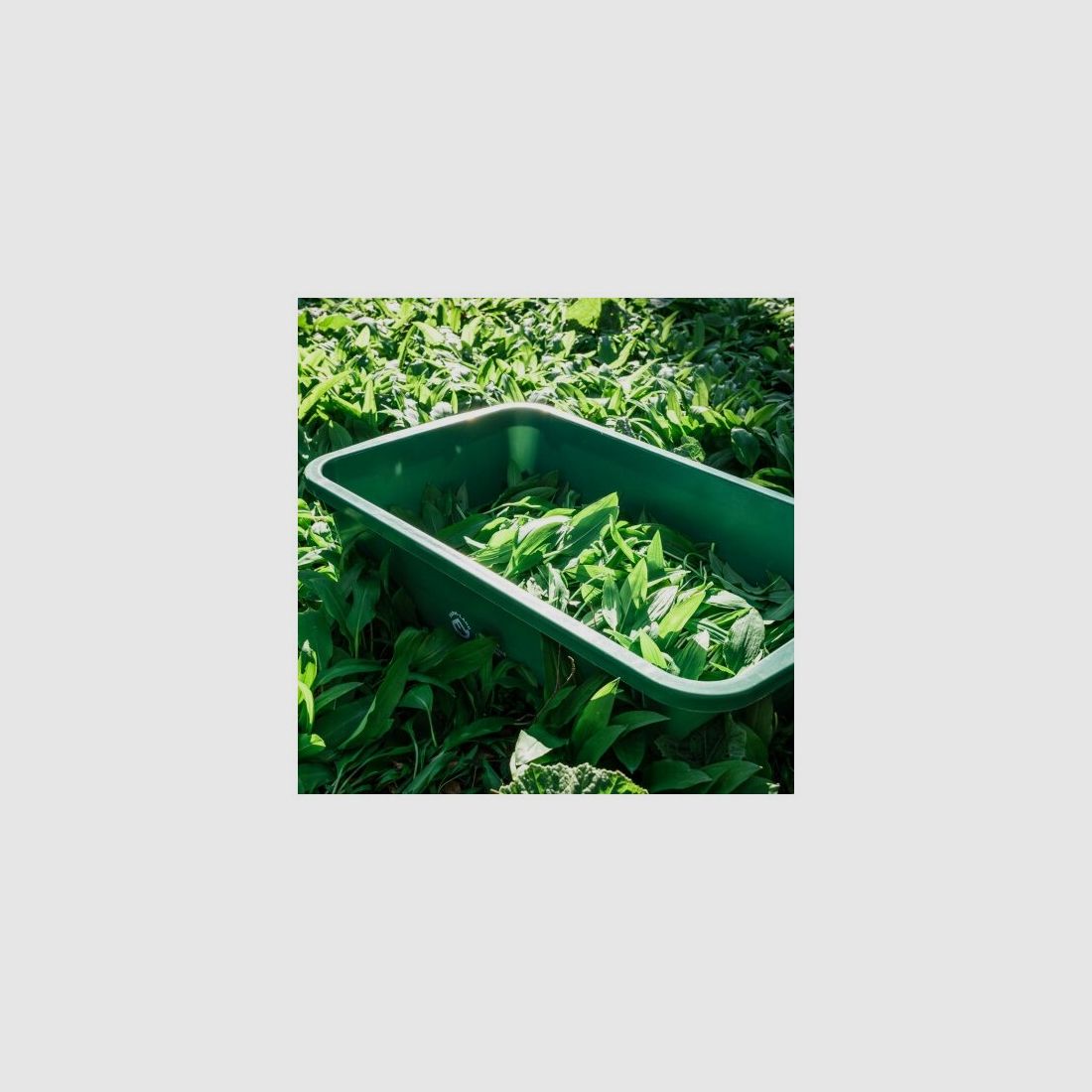 Farm-Land Wildwanne 60 liters food-safe