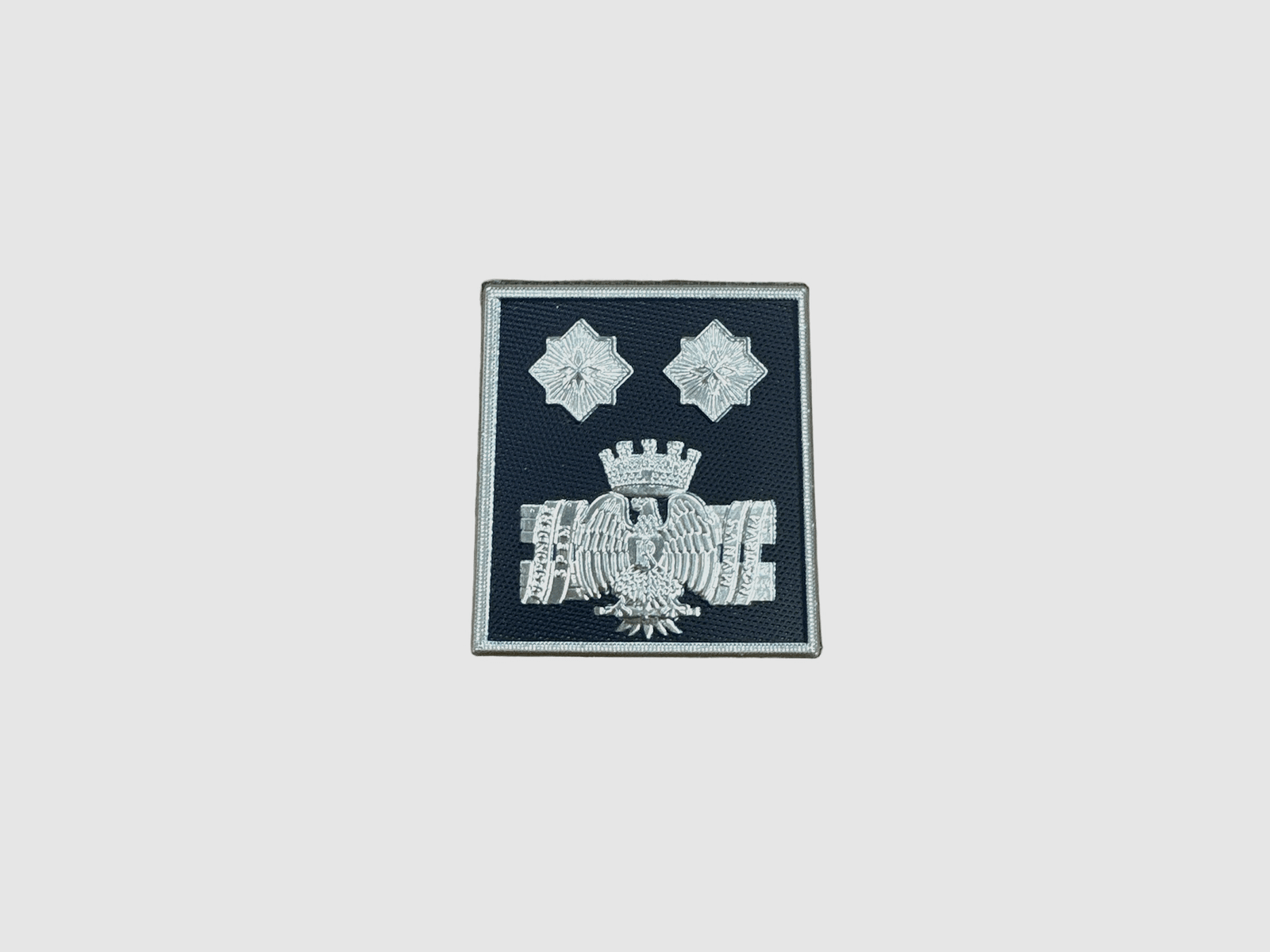 PENITENTIARY POLICE – GRADE SCRATCH GENERAL DIRECTOR (LAMINATED)