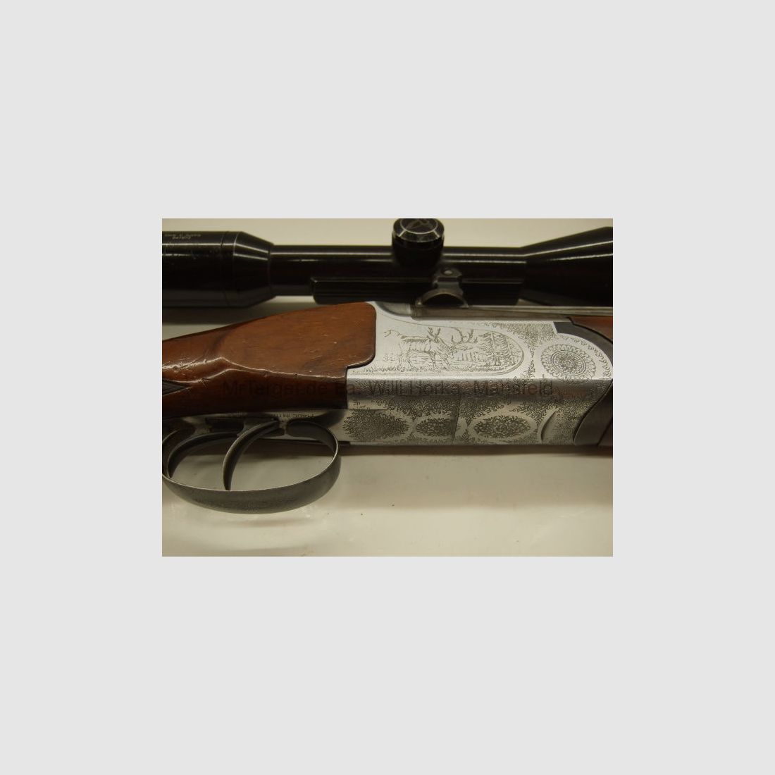 Sabattii mit ZF SWAROVSKI 6x42 Absehen 1