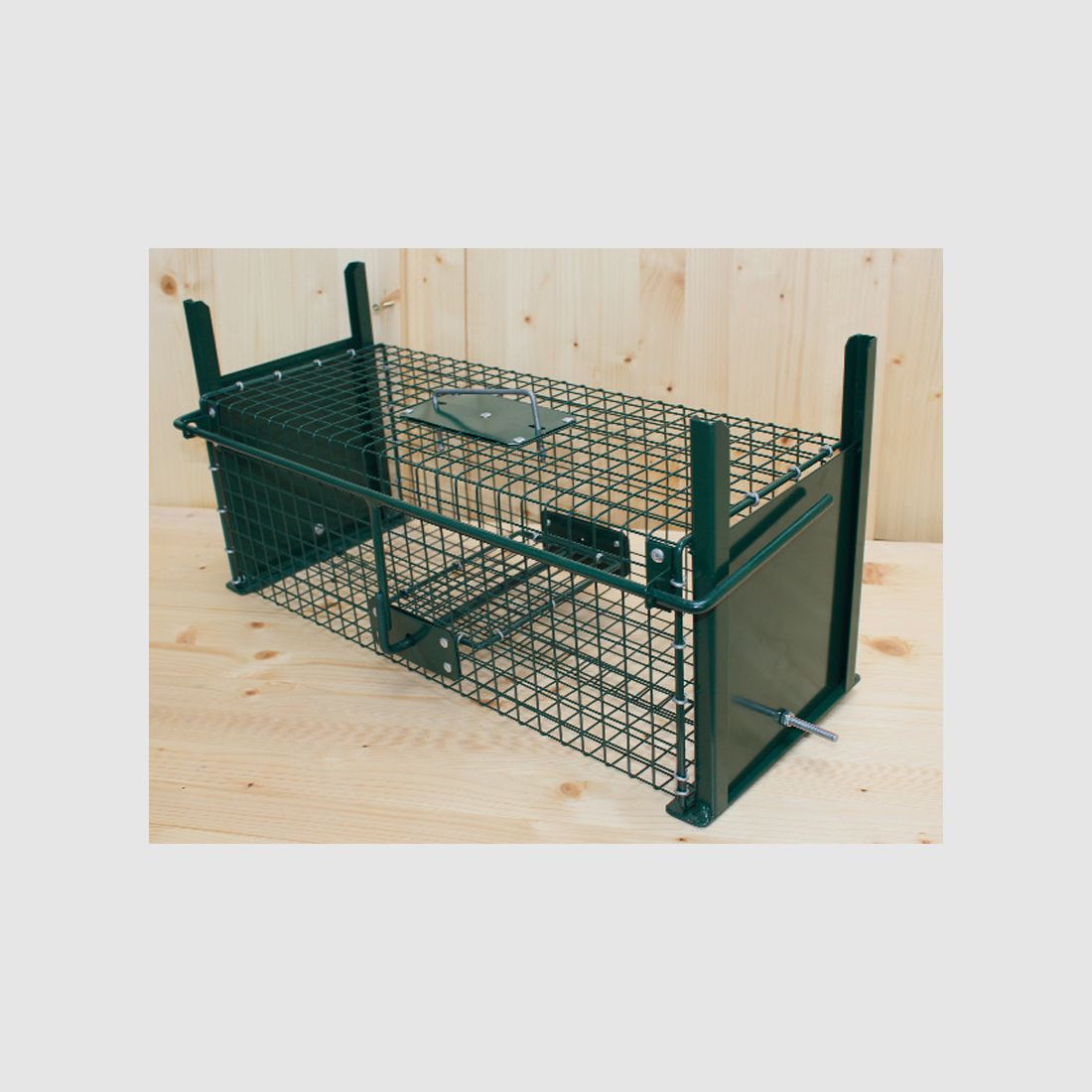 Small game box trap