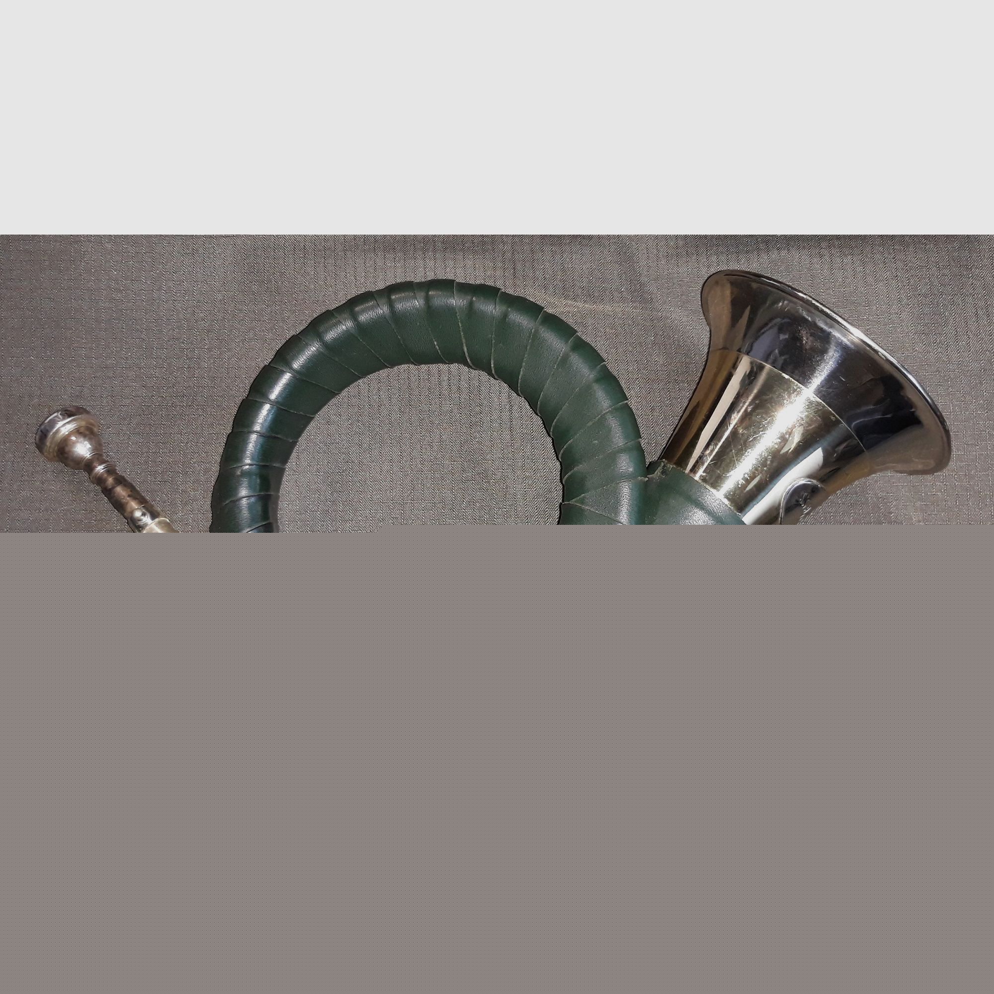 Fürst Pless Horn