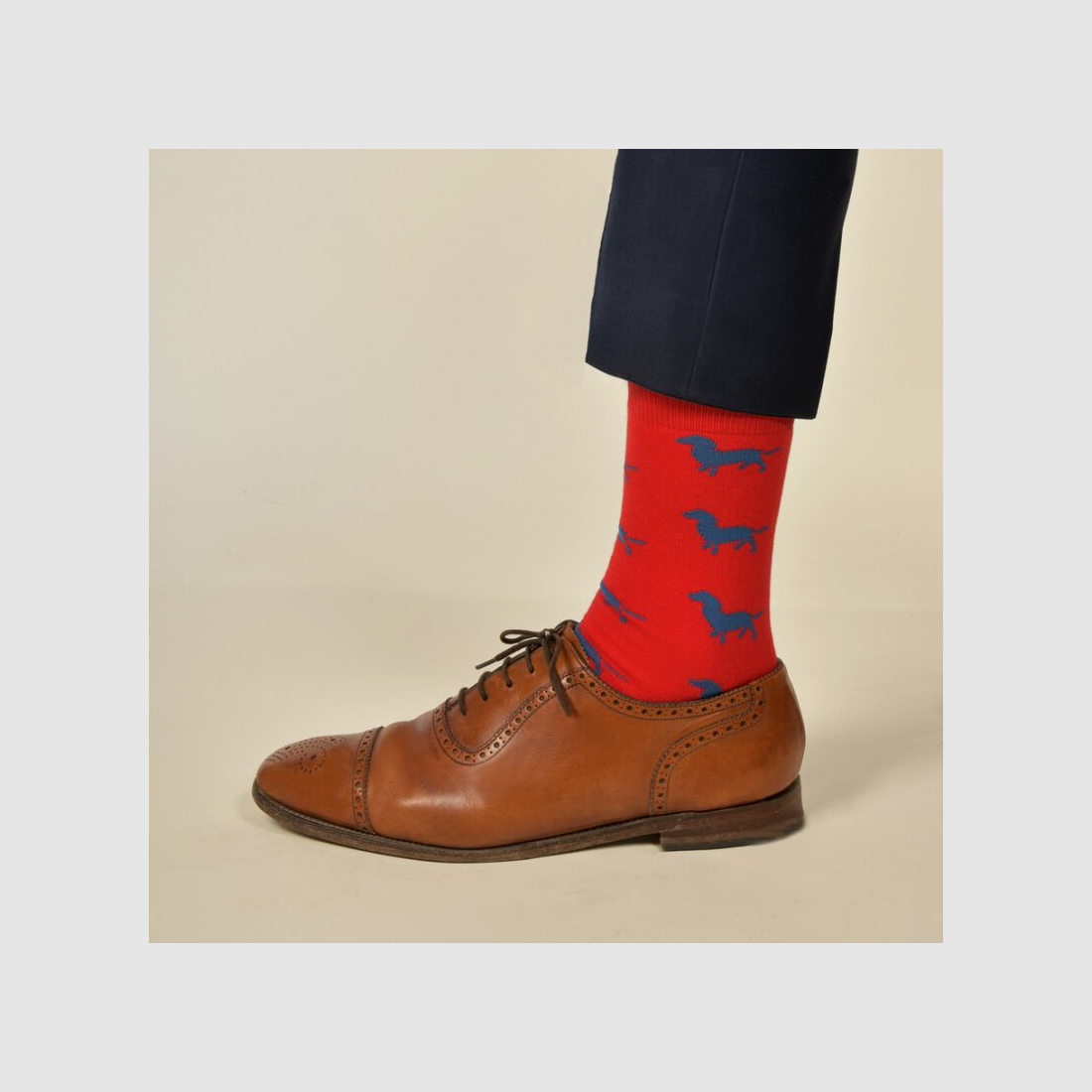 Krawattendackel Damen Socken rot, Dackel blau, Größe 36-40