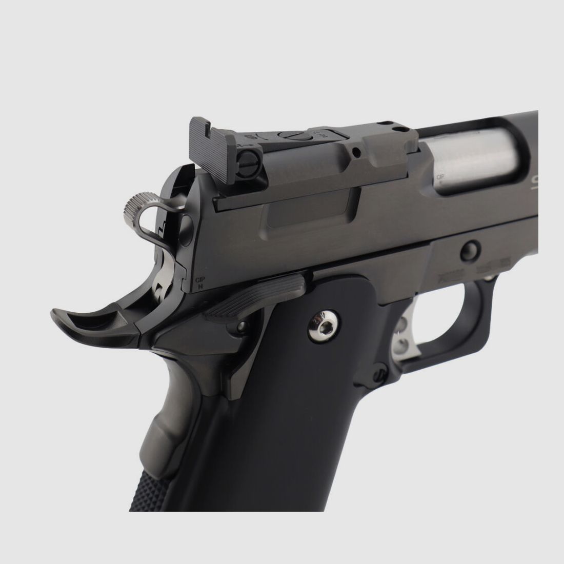 STP door Prommersberger Black Major 5.0 Optics