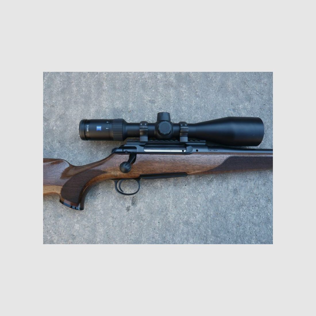 Sauer 101