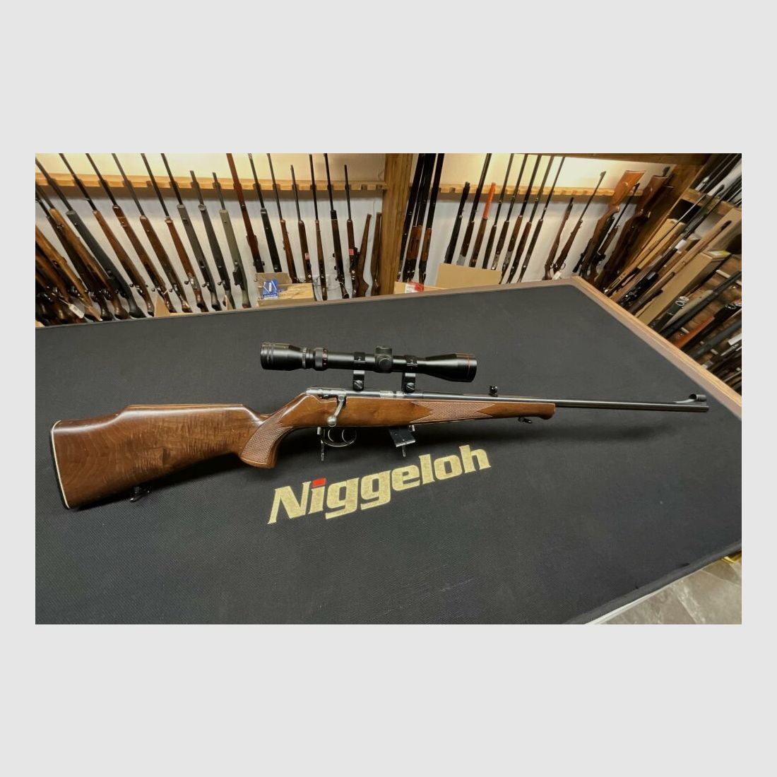Anschütz .22lr