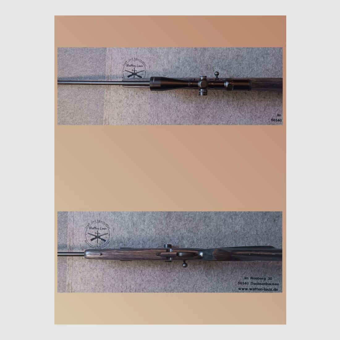 CZ Arms Mod. 527 mit SD Roedale Hunter und ZF Delta 4-24x50HD