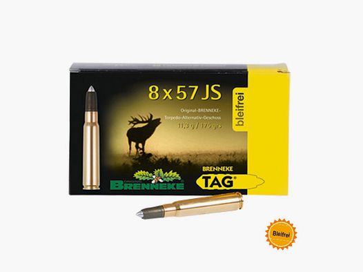 Brenneke 8x57 IS 175GR TAG 20 Patronen