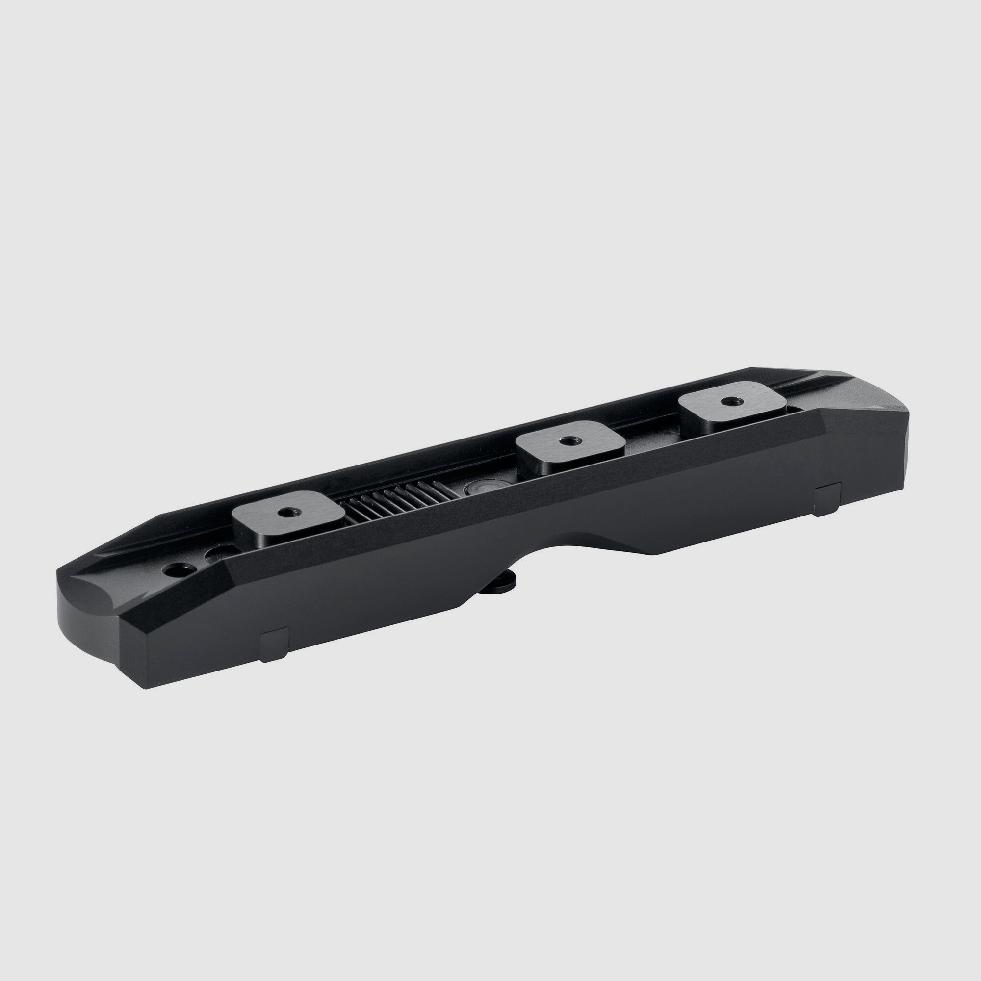 Dentler Montageschiene BASIS® Stahl Swarovski SR