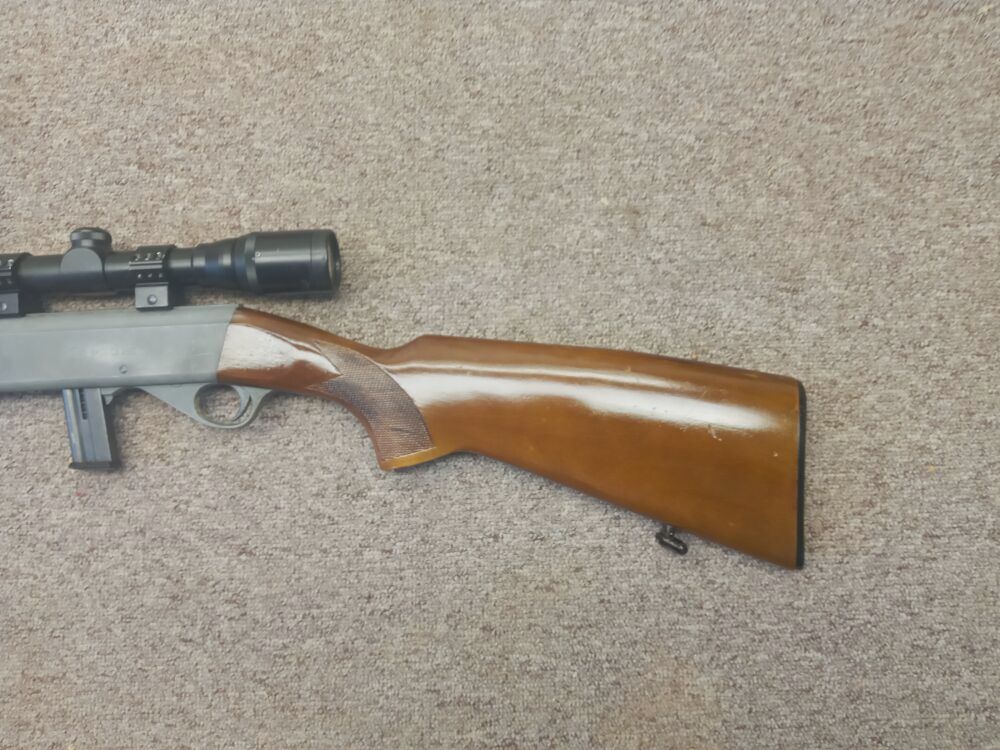 Anschütz 300